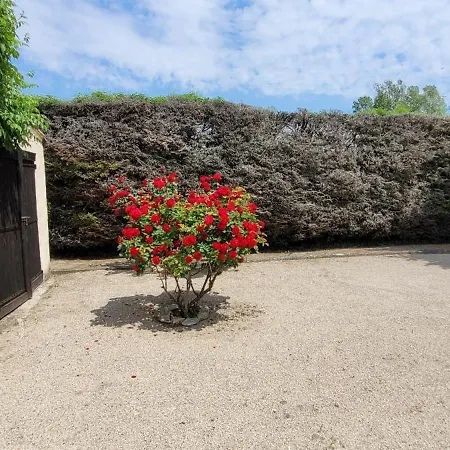 Liberty Nocleg ze śniadaniem Entraigues-sur-la-Sorgue