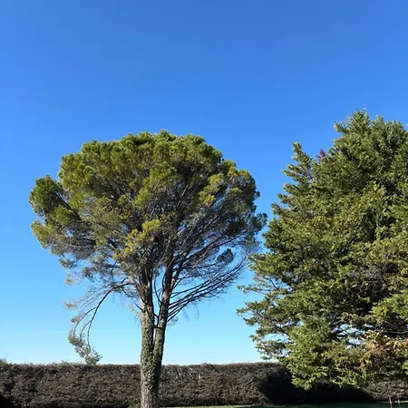 Liberty Nocleg ze śniadaniem Entraigues-sur-la-Sorgue